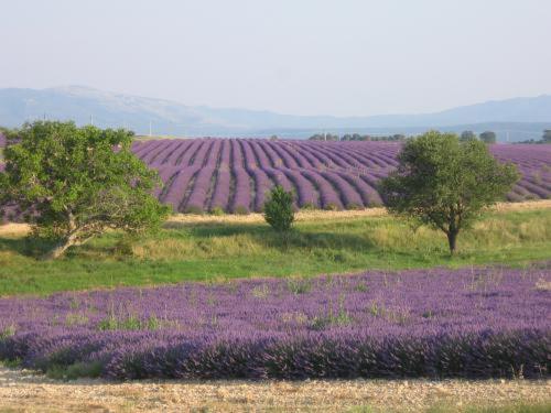 Ferme Para Lou Sainte-Croix-de-Verdon Dış mekan fotoğraf